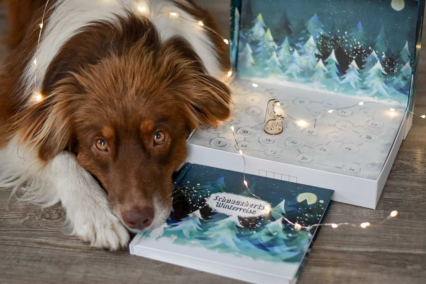 Hund liegt bei Lichterkette neben dem Schnauzberts-Winterreise-Adventskalender mit nummeriertem Spielbrett und Begleitbuch